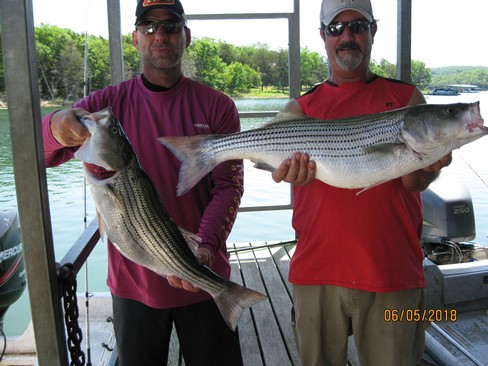 Nice Striped Bass